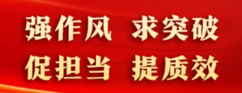強作風 求突破 促擔當 提質效